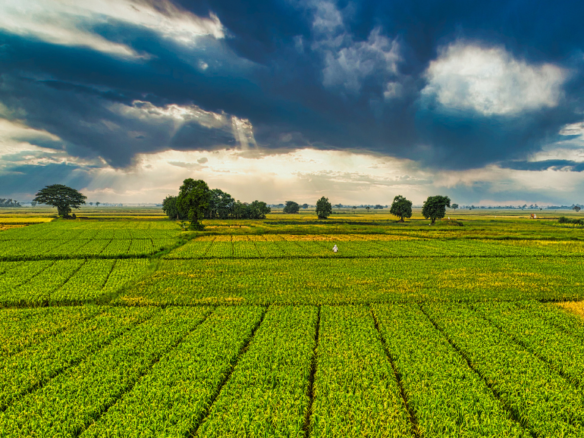 Real Estate Agent Kanish Realty Coimbatore