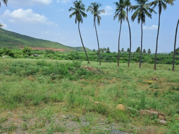 Real Estate Agent Kanish Realty Coimbatore