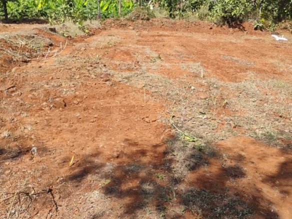 Real Estate Agent Kanish Realty Coimbatore