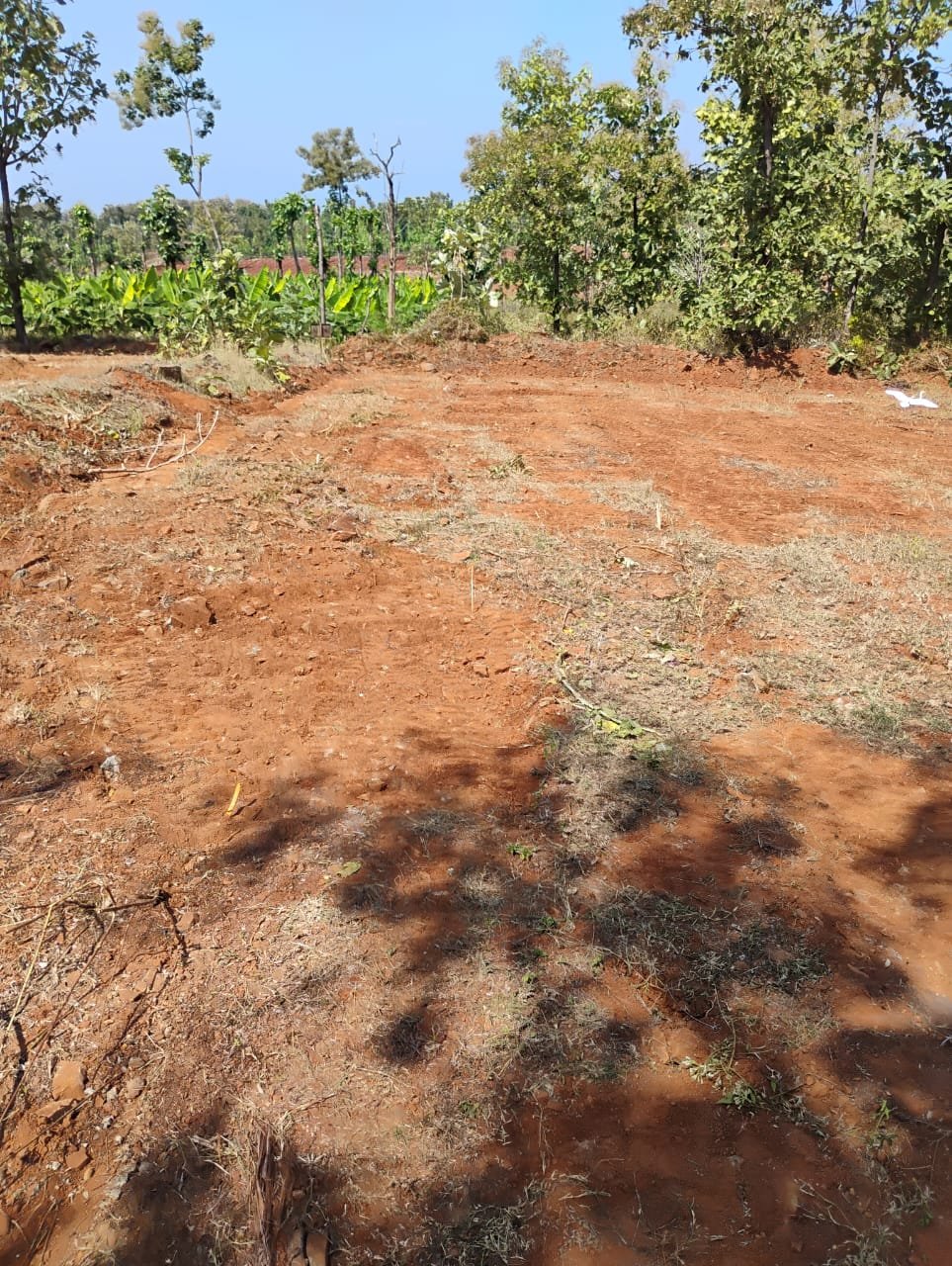 Real Estate Agent Kanish Realty Coimbatore