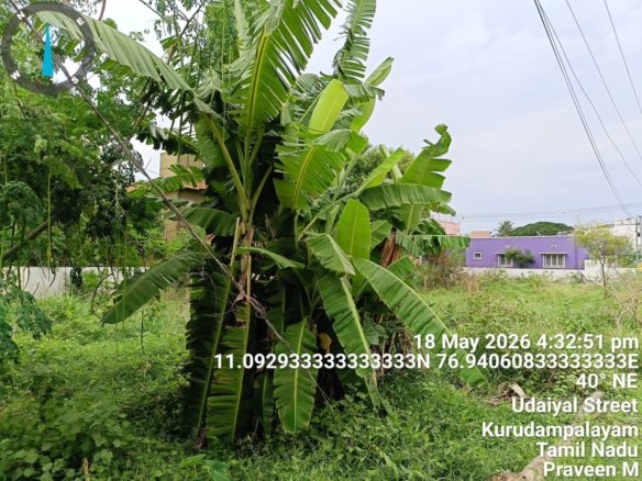 12.5 Cents DTCP approved land for Sale in Nggo Colony Coimbatore