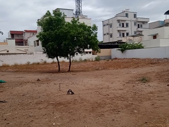 Prime Residential Land for Sale – Avarampalayam, Coimbatore